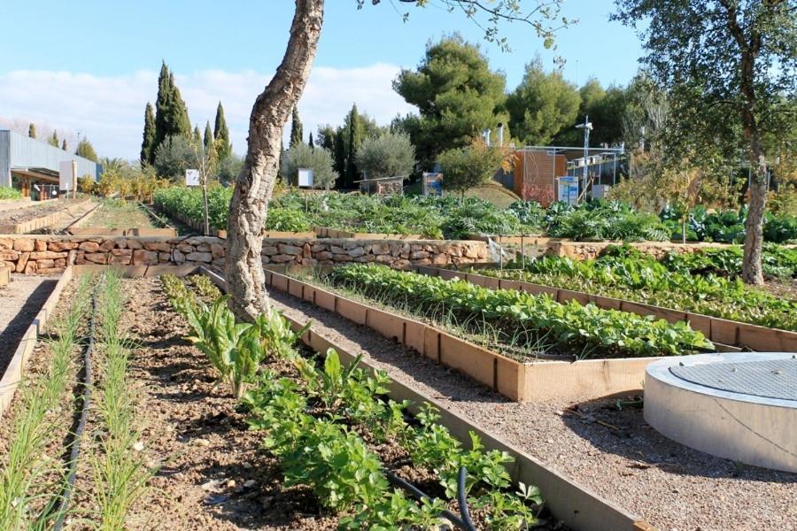 Centro De Agroecologia Y Medio Ambiente De Murcia บูยาส ภายนอก รูปภาพ