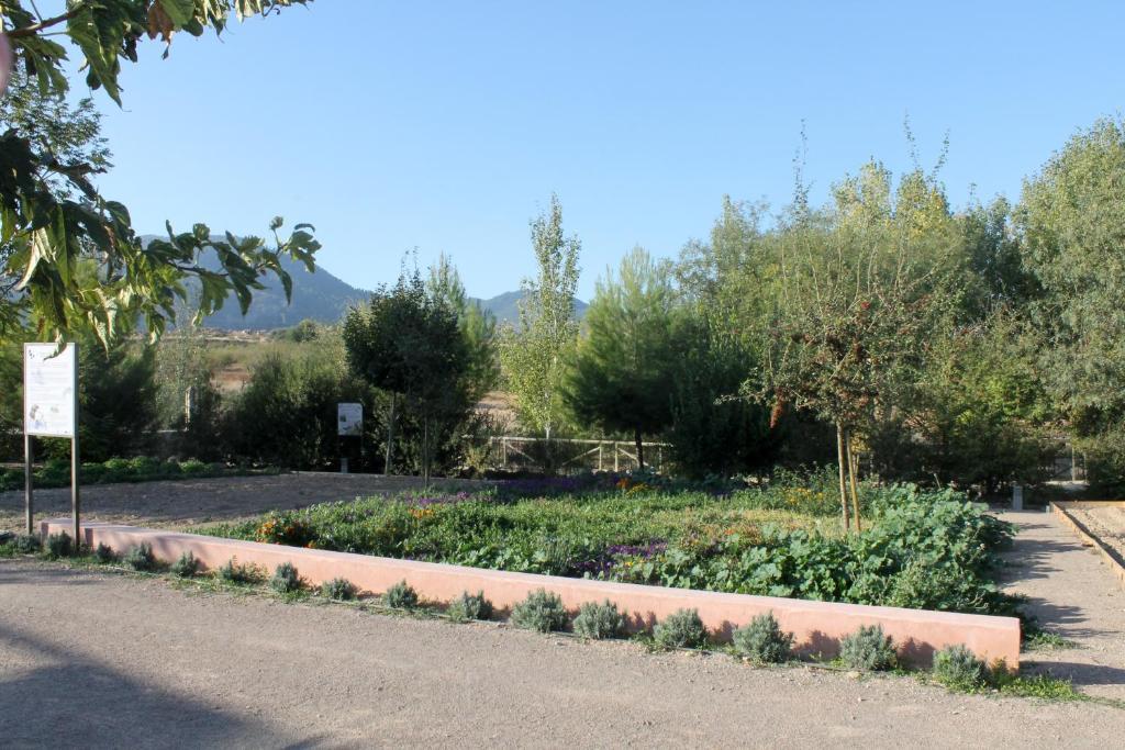 Centro De Agroecologia Y Medio Ambiente De Murcia บูยาส ห้อง รูปภาพ