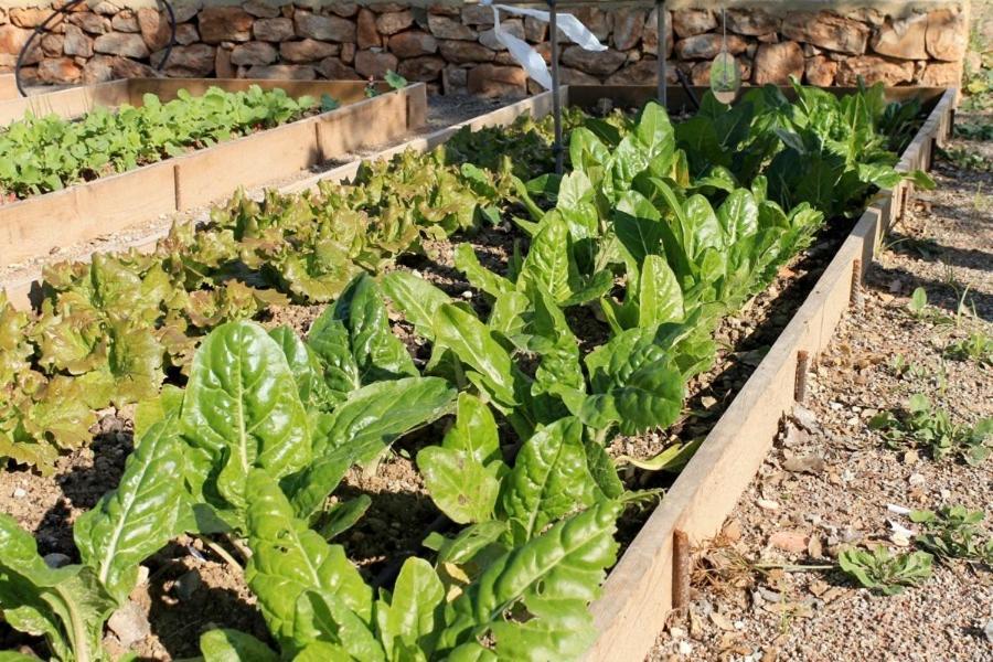 Centro De Agroecologia Y Medio Ambiente De Murcia บูยาส ภายนอก รูปภาพ