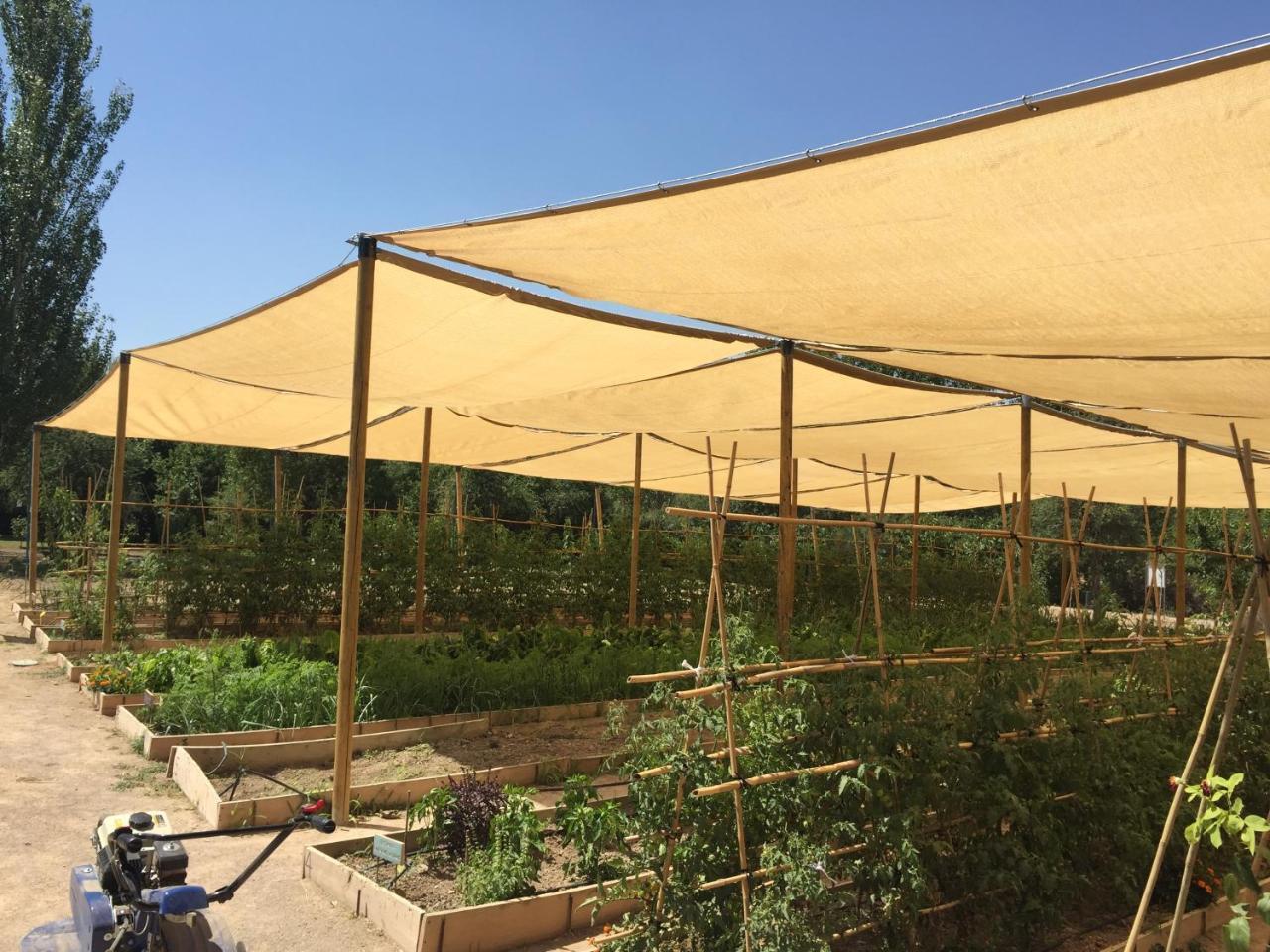 Centro De Agroecologia Y Medio Ambiente De Murcia บูยาส ภายนอก รูปภาพ