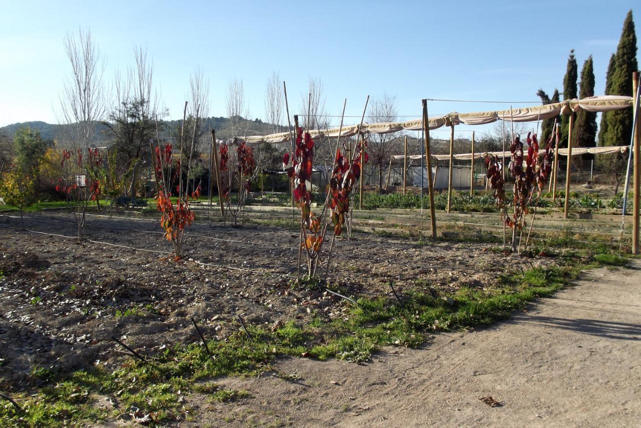Centro De Agroecologia Y Medio Ambiente De Murcia บูยาส ภายนอก รูปภาพ