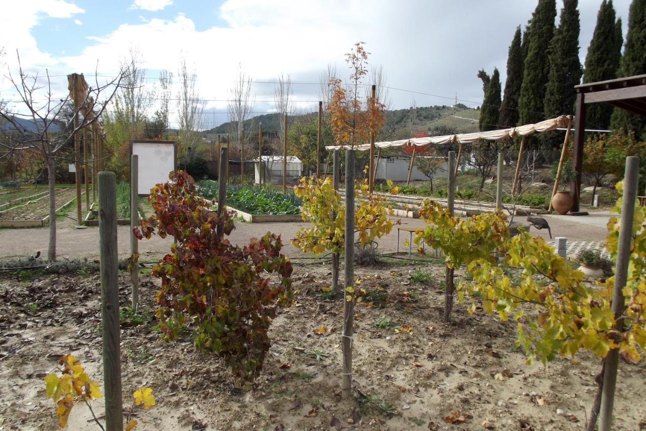 Centro De Agroecologia Y Medio Ambiente De Murcia บูยาส ภายนอก รูปภาพ