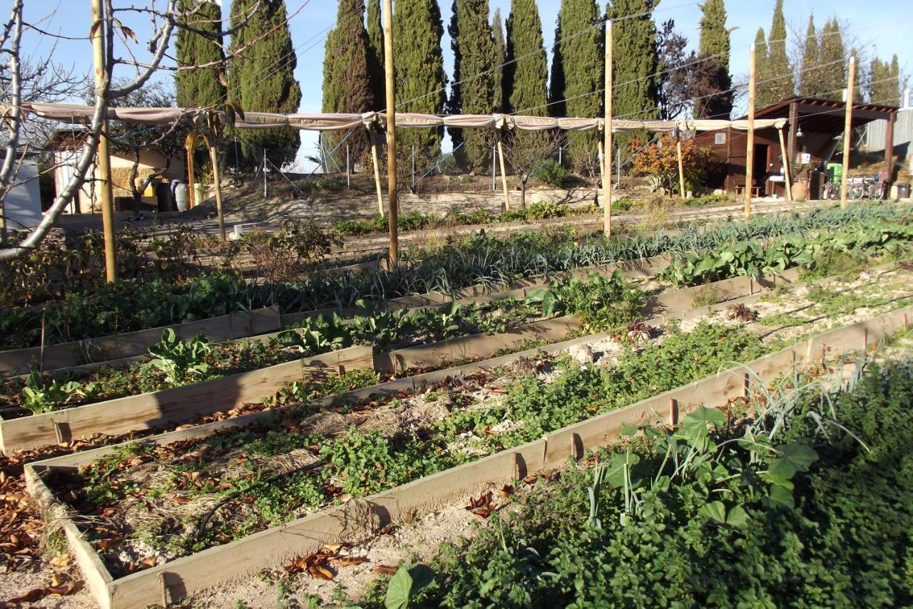 Centro De Agroecologia Y Medio Ambiente De Murcia บูยาส ภายนอก รูปภาพ